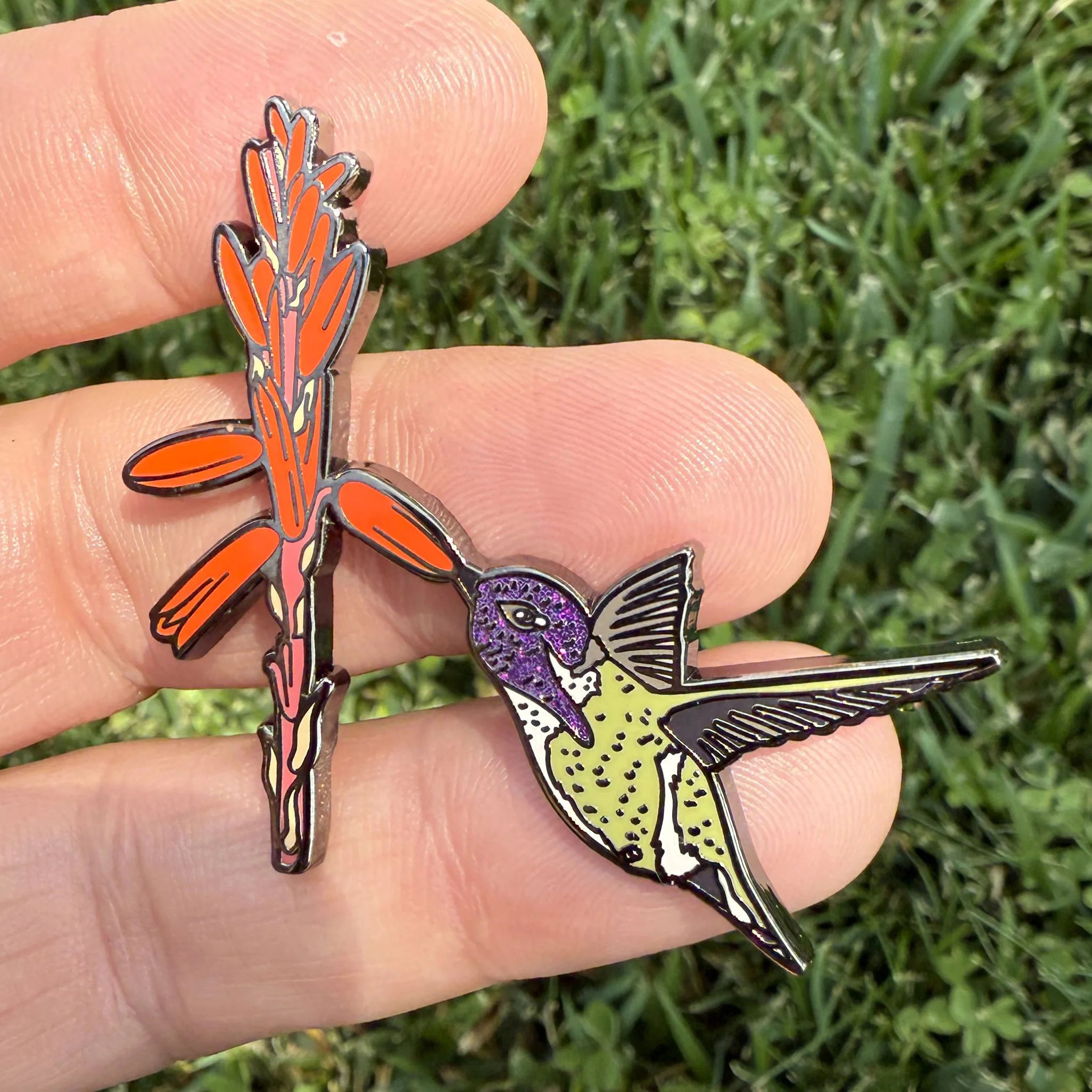 Costas Hummingbird example.jpg