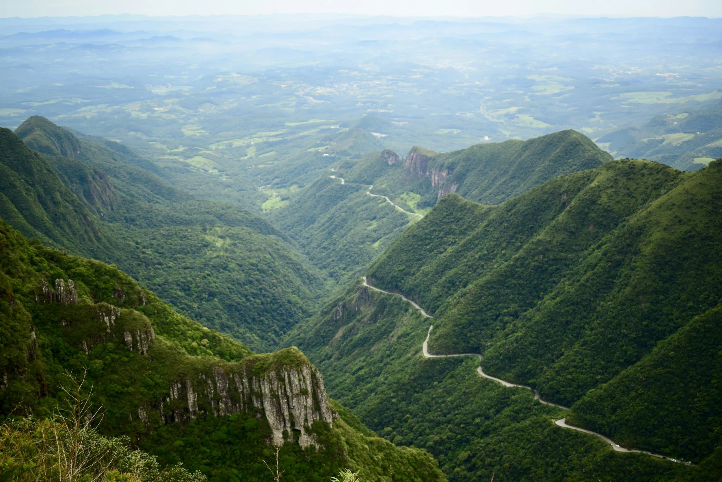 Brazil 2026 | 10-Night Atlantic Forest Photo Expedition