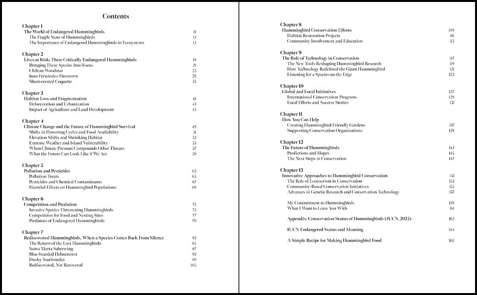 Amazon From the Publisher 02.jpg