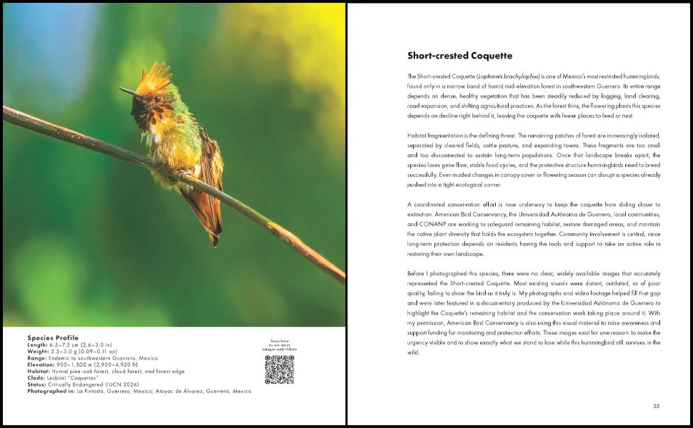 Amazon From the Publisher 03.jpg