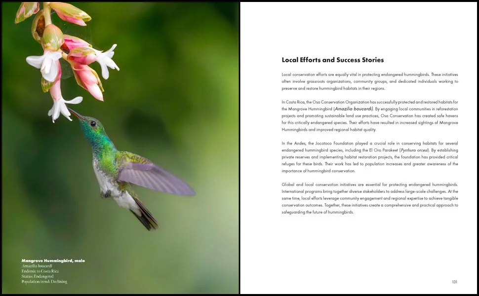 Amazon From the Publisher 04.jpg