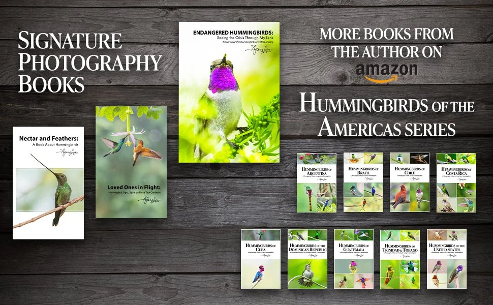 From the Publisher copy.jpg