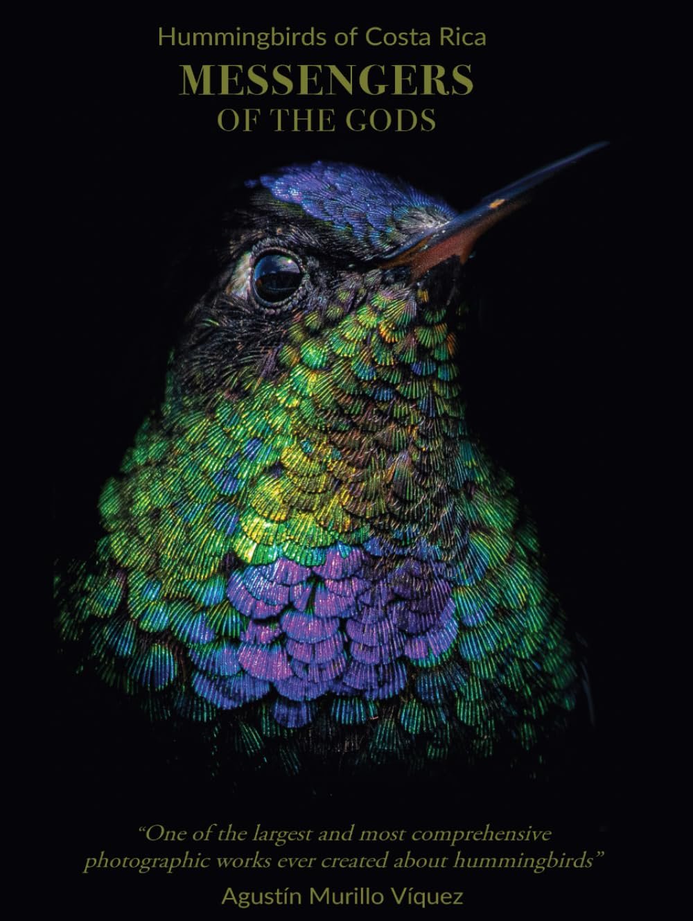 Hummingbirds of Costa Rica book.jpg