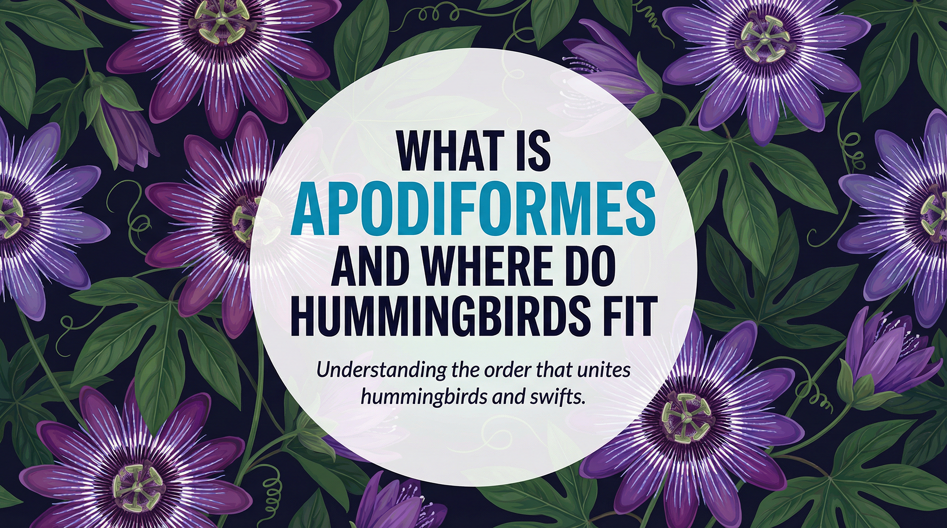 Where Do Hummingbirds Fit in the Order Apodiformes?