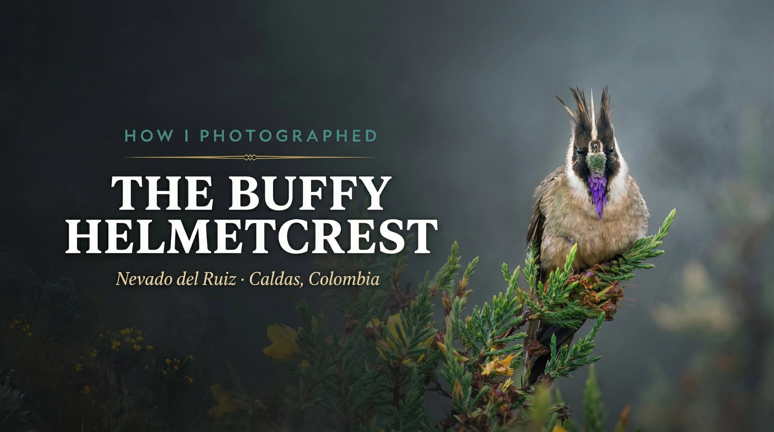 How I Photographed the Buffy Helmetcrest