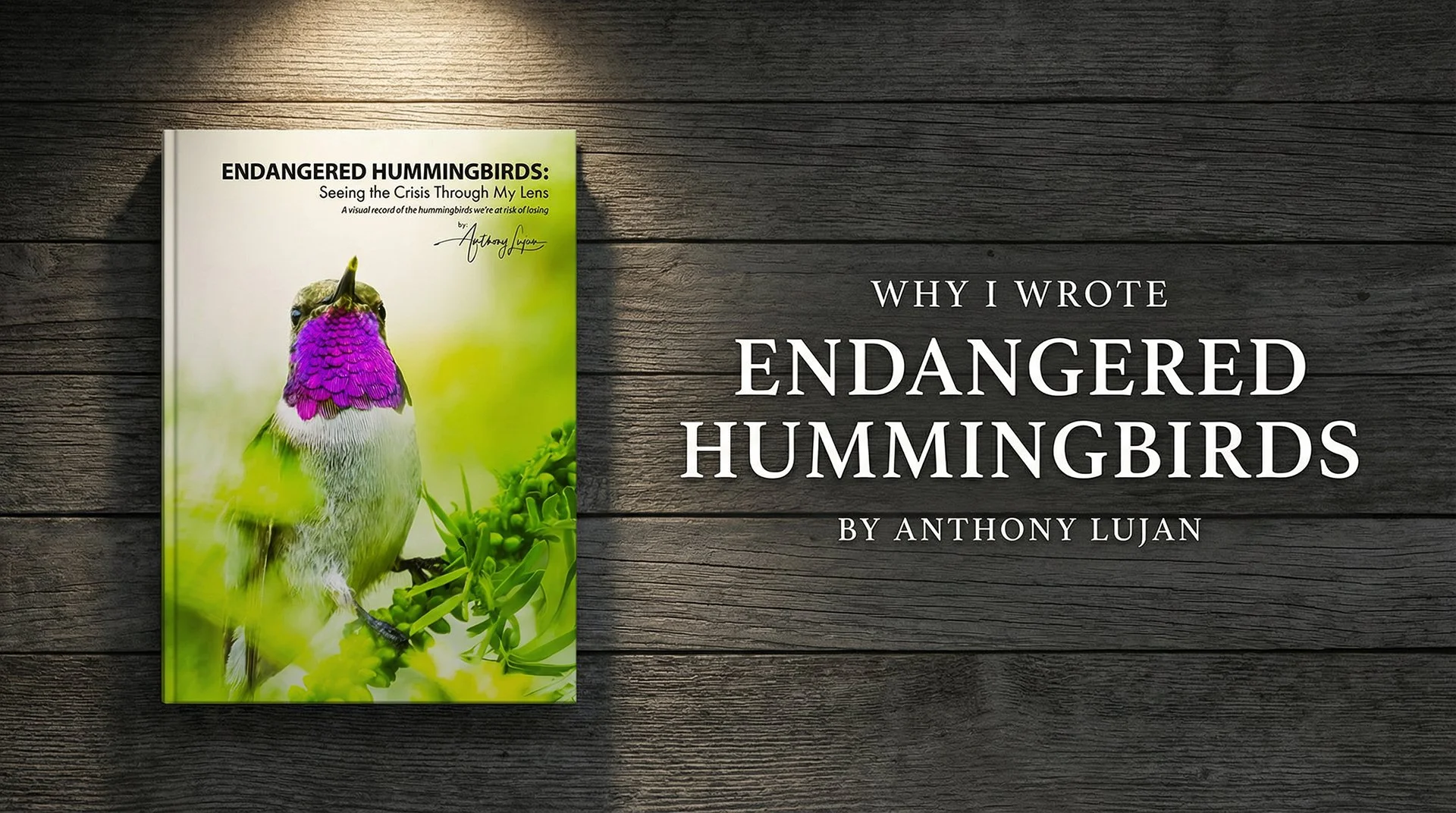 Why I Wrote Endangered Hummingbirds