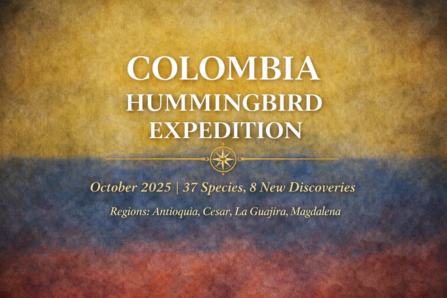 Colombia Hummingbird Expedition | October 2025 | 37 Species, 8 New Discoveries