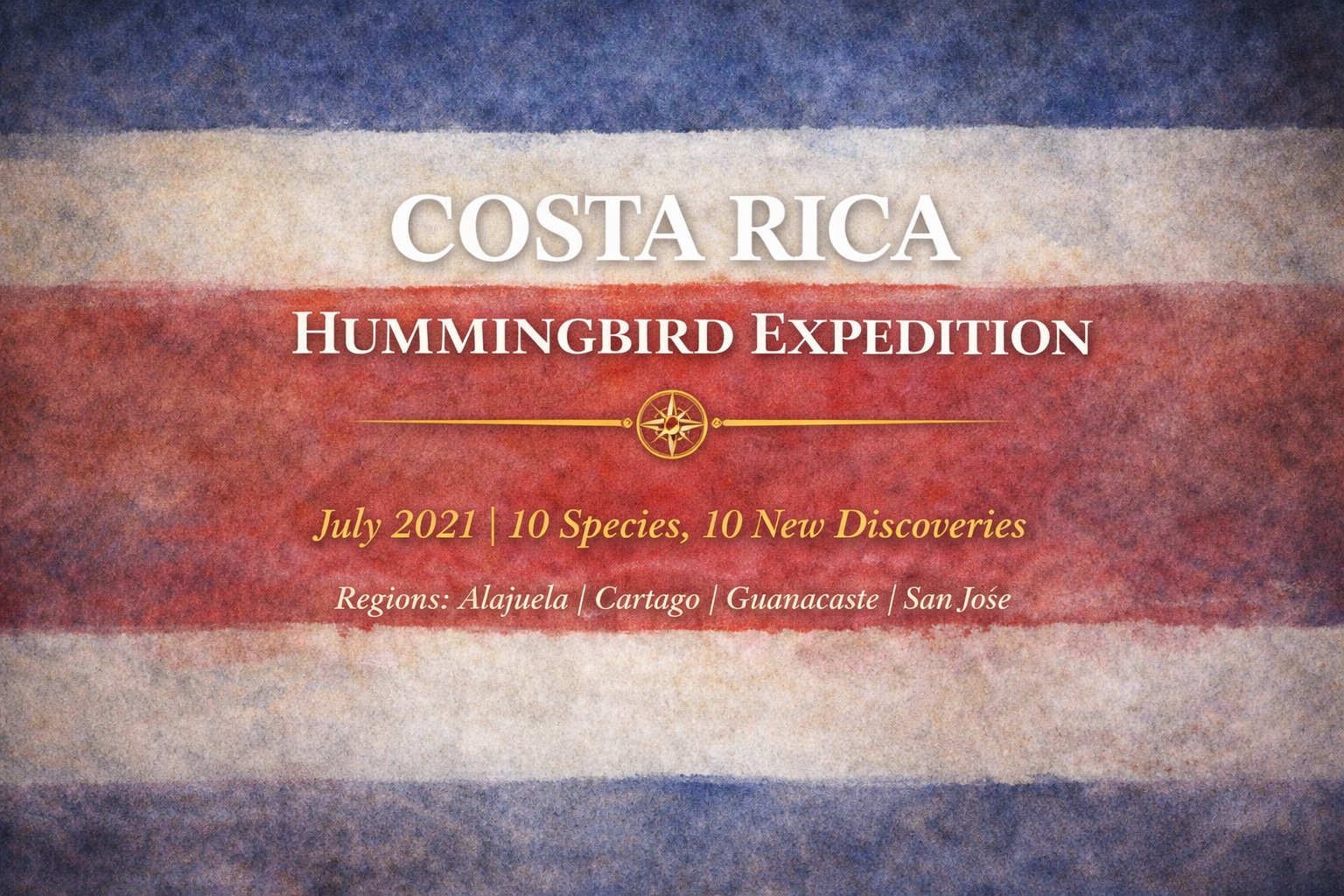 Costa Rica Hummingbird Expedition | July 2021 | 10 Species | Where It All Started