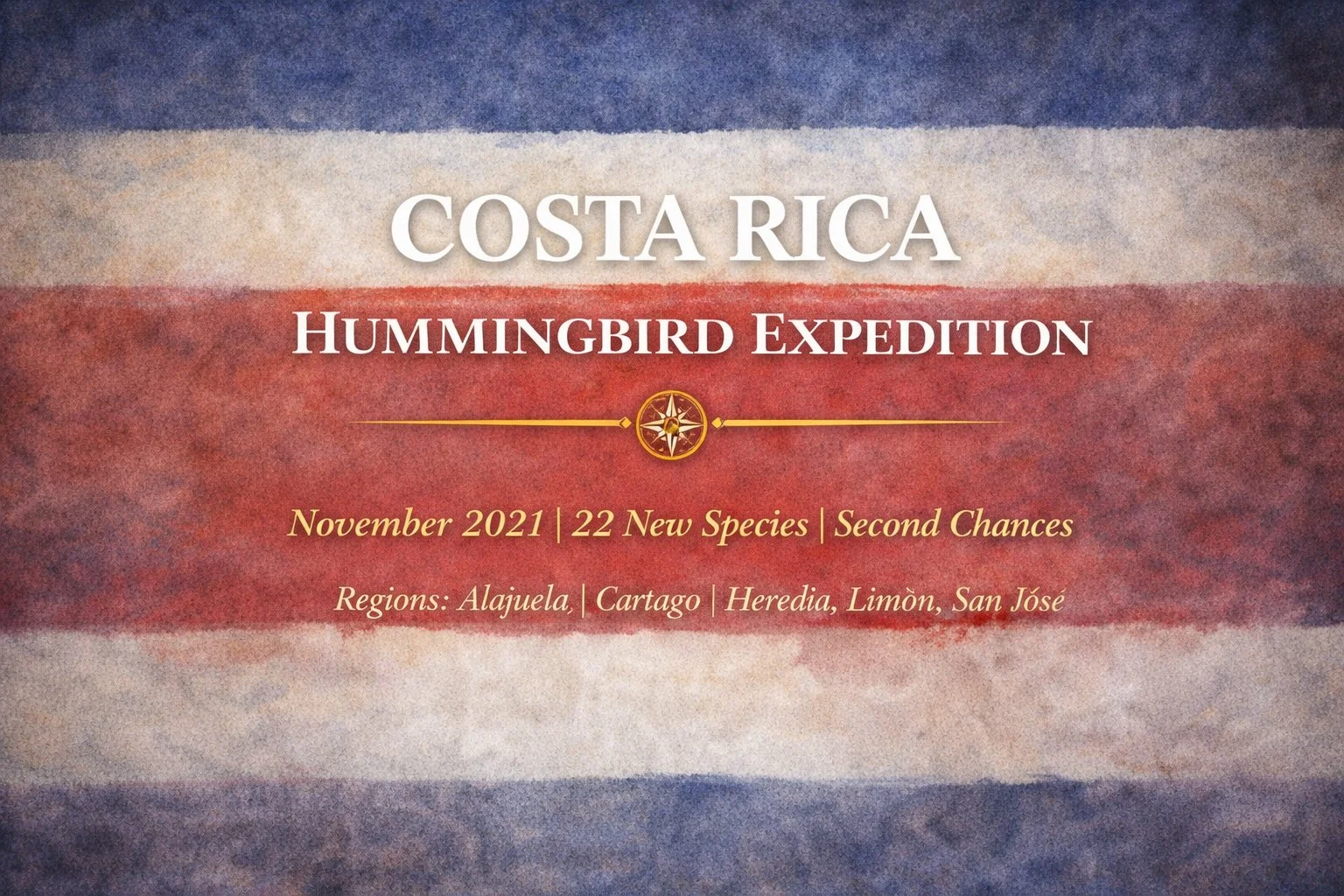 Costa Rica Hummingbird Expedition | November 2021 | 22 New Species | Second Chances