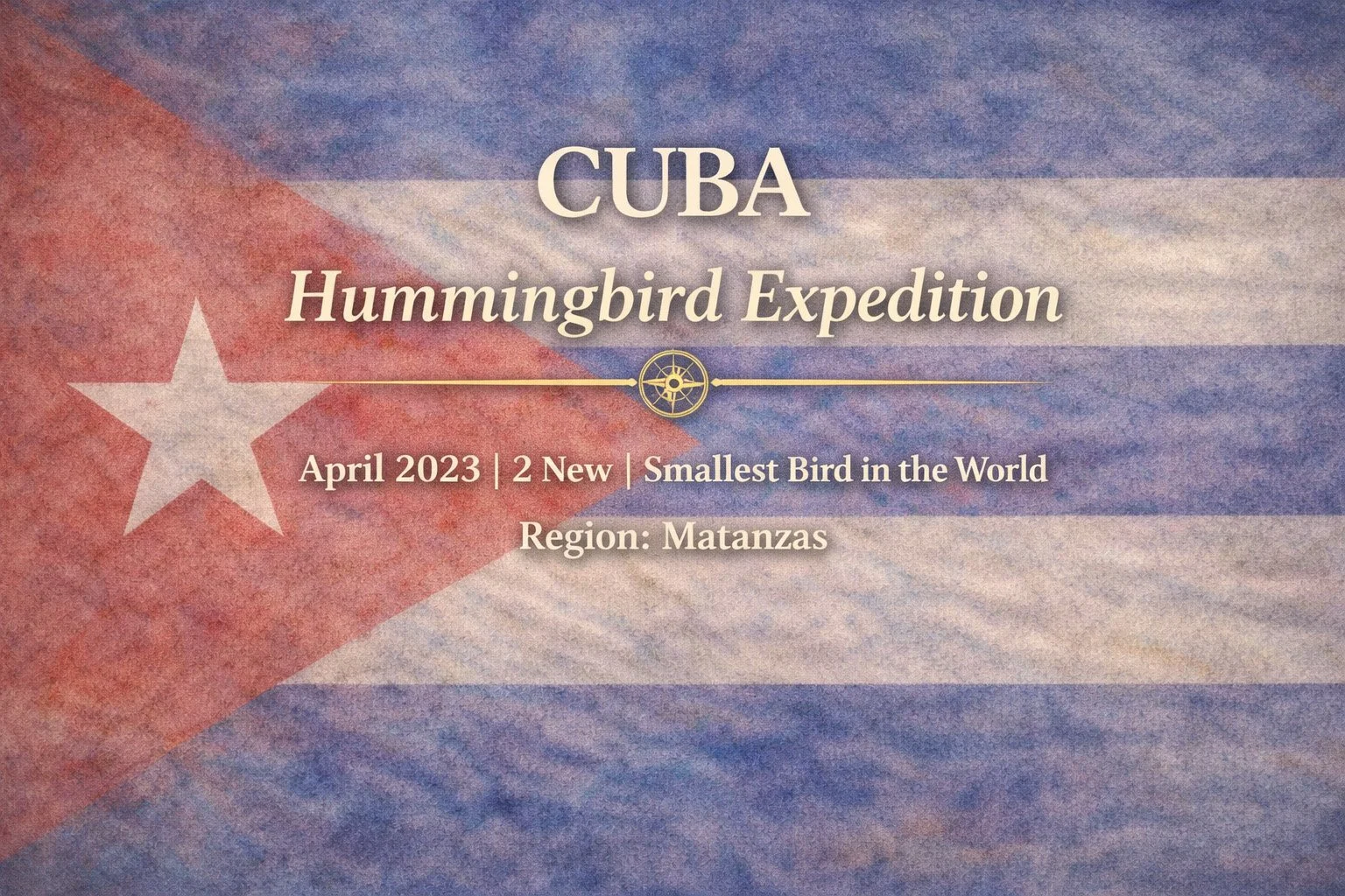 Cuba Hummingbird Expedition | April 2023