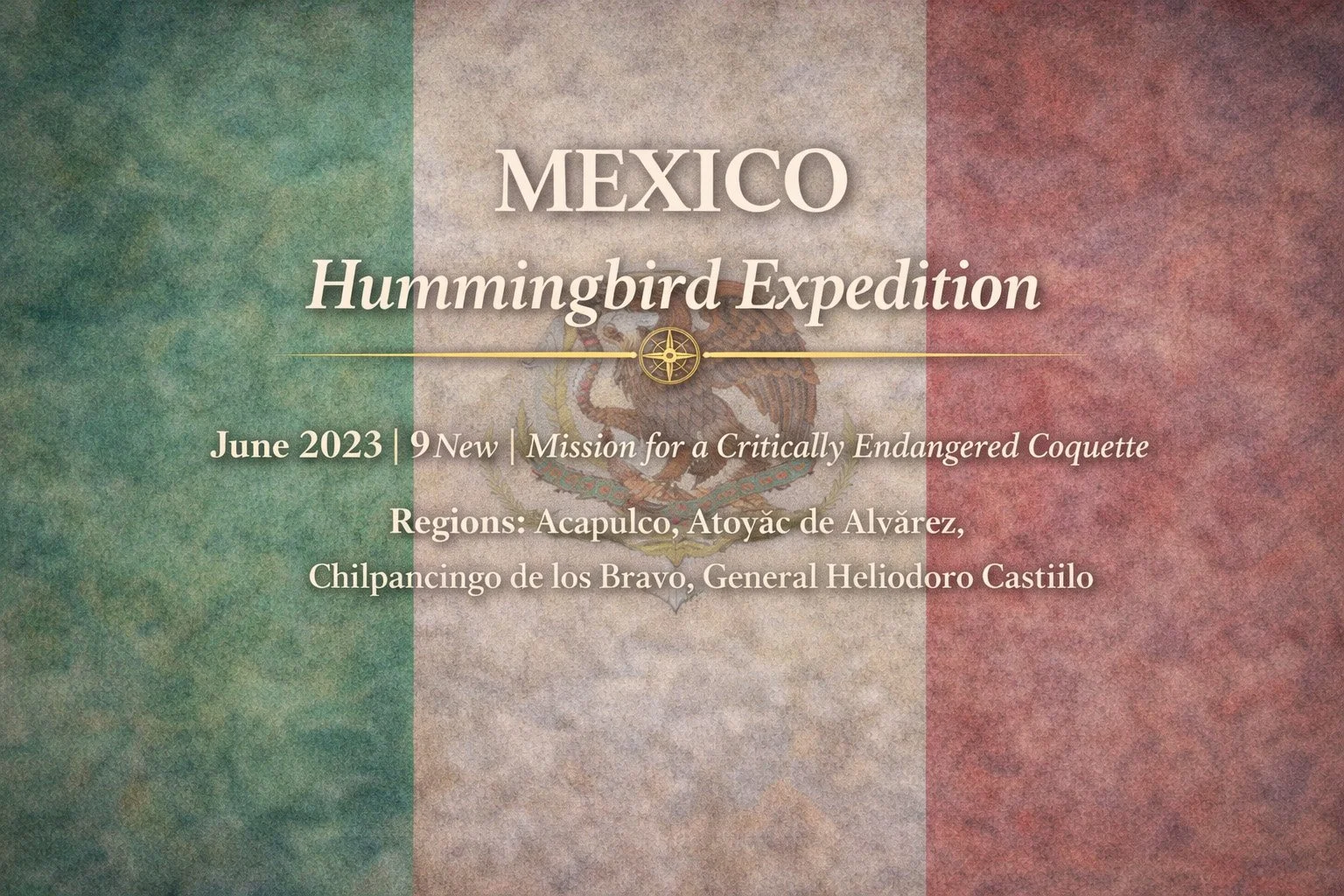 Mexico Hummingbird Expedition | June 2023