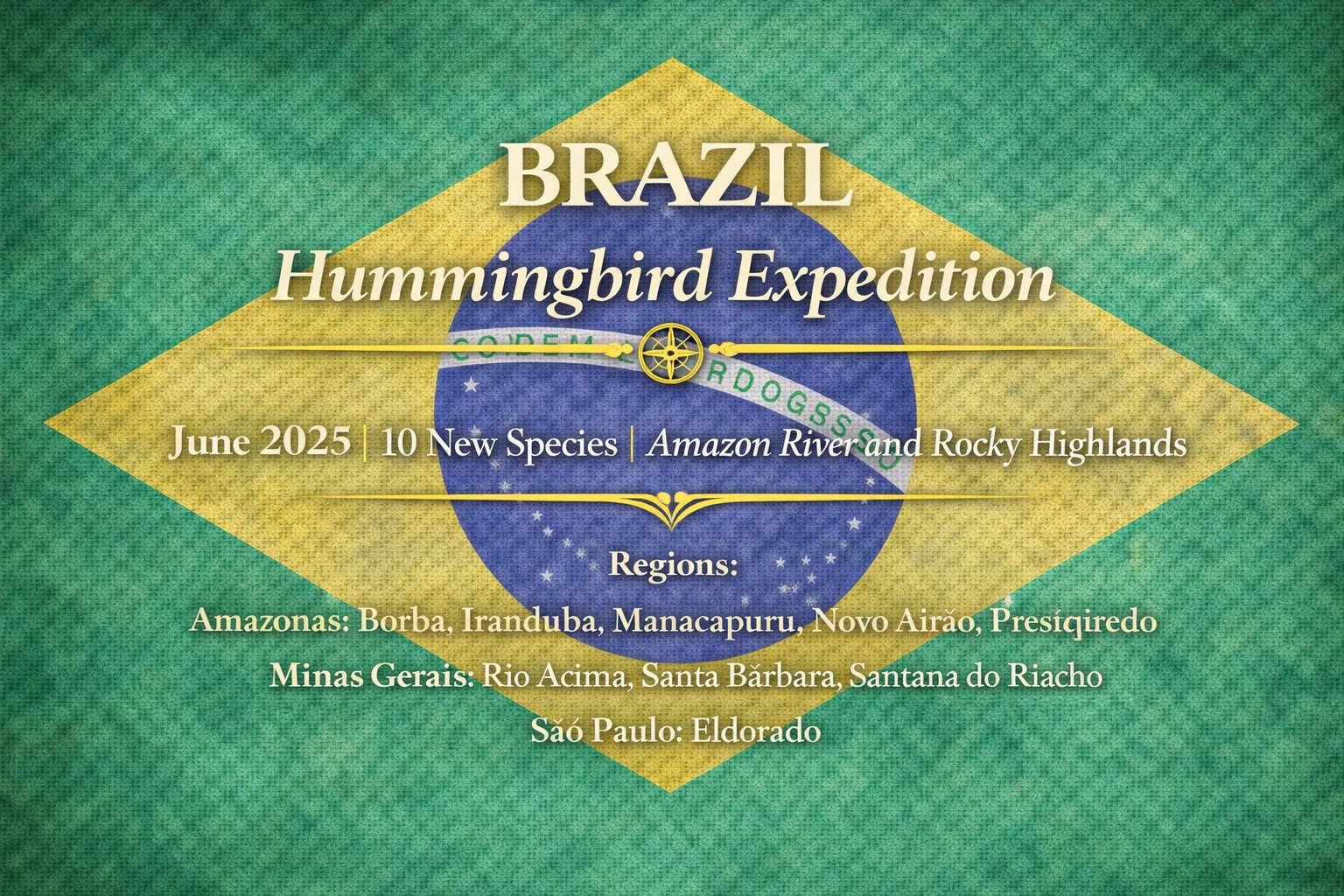 Brazil Hummingbird Expedition | June 2025