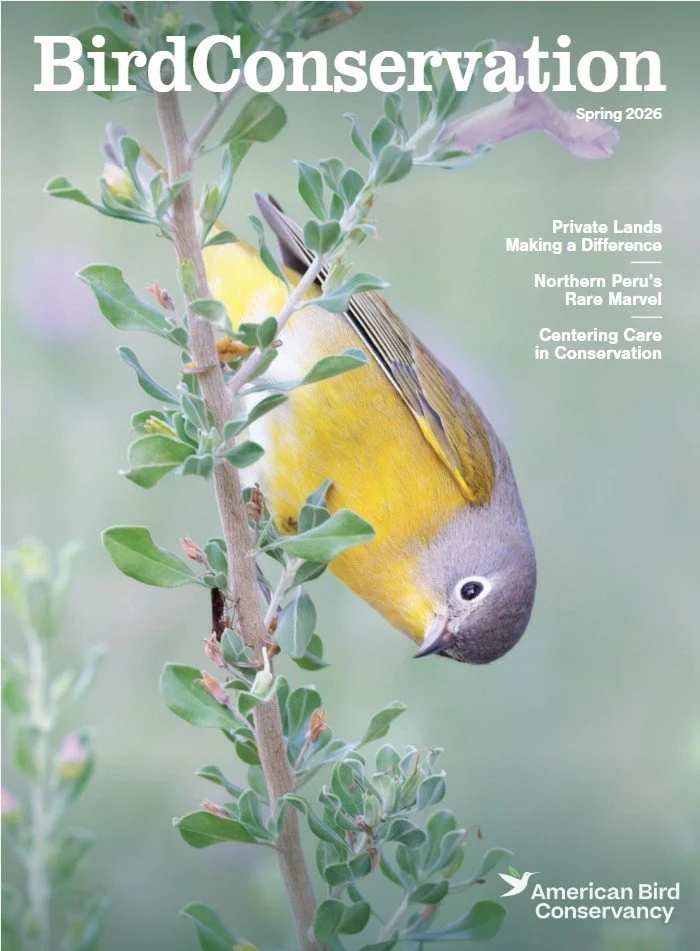 ABC Bird Conservation Spring 2026 01.jpg