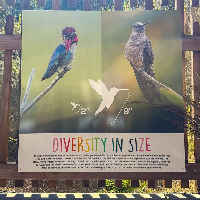 VBG photography display size.jpg
