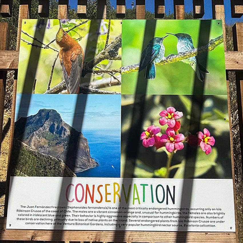 VBG photography display conservation.jpg
