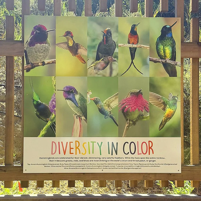 VBG photography display color.jpg