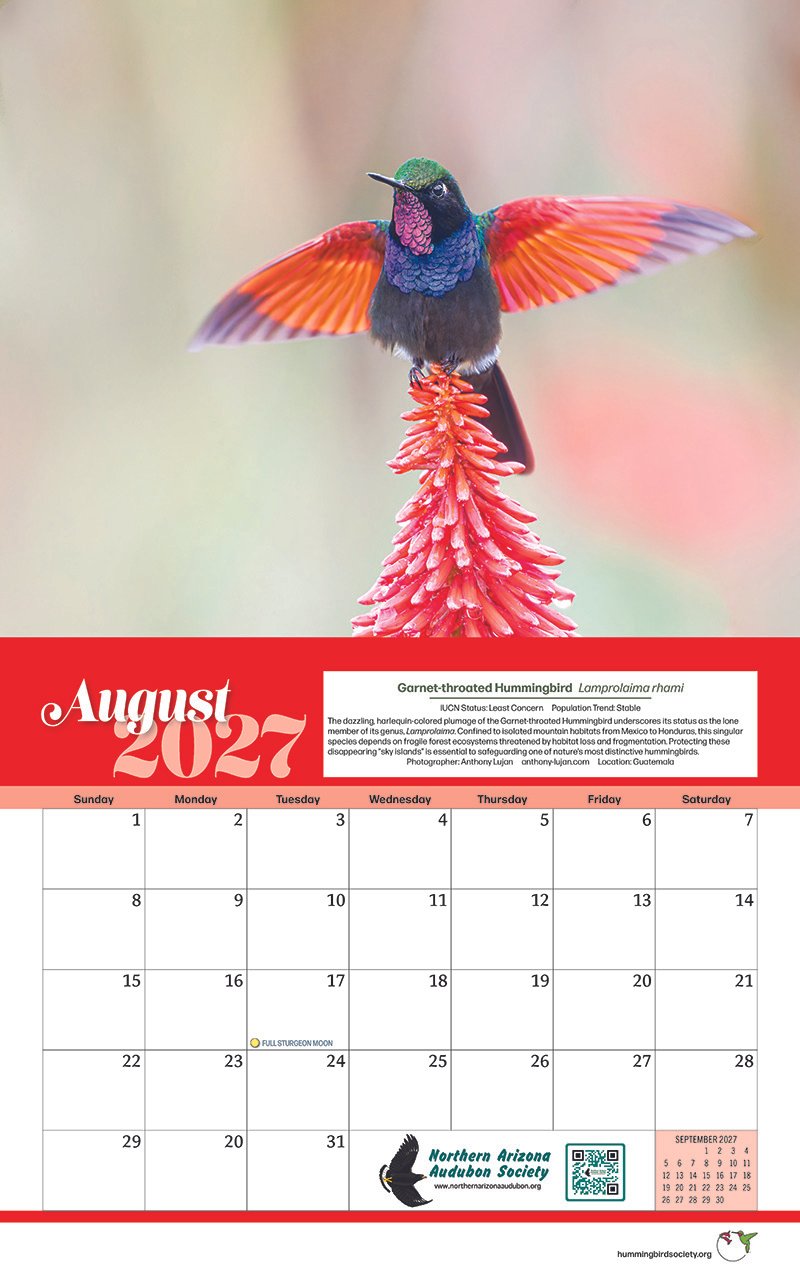 IHS 2027 Calendar_Page_10.jpg