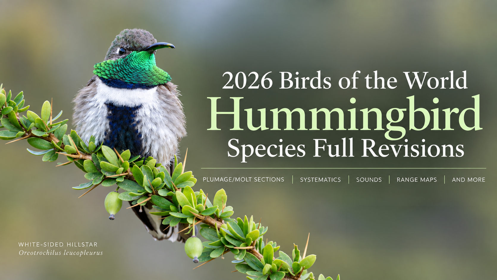 2026 Birds of the World Hummingbird Species Full Revisions