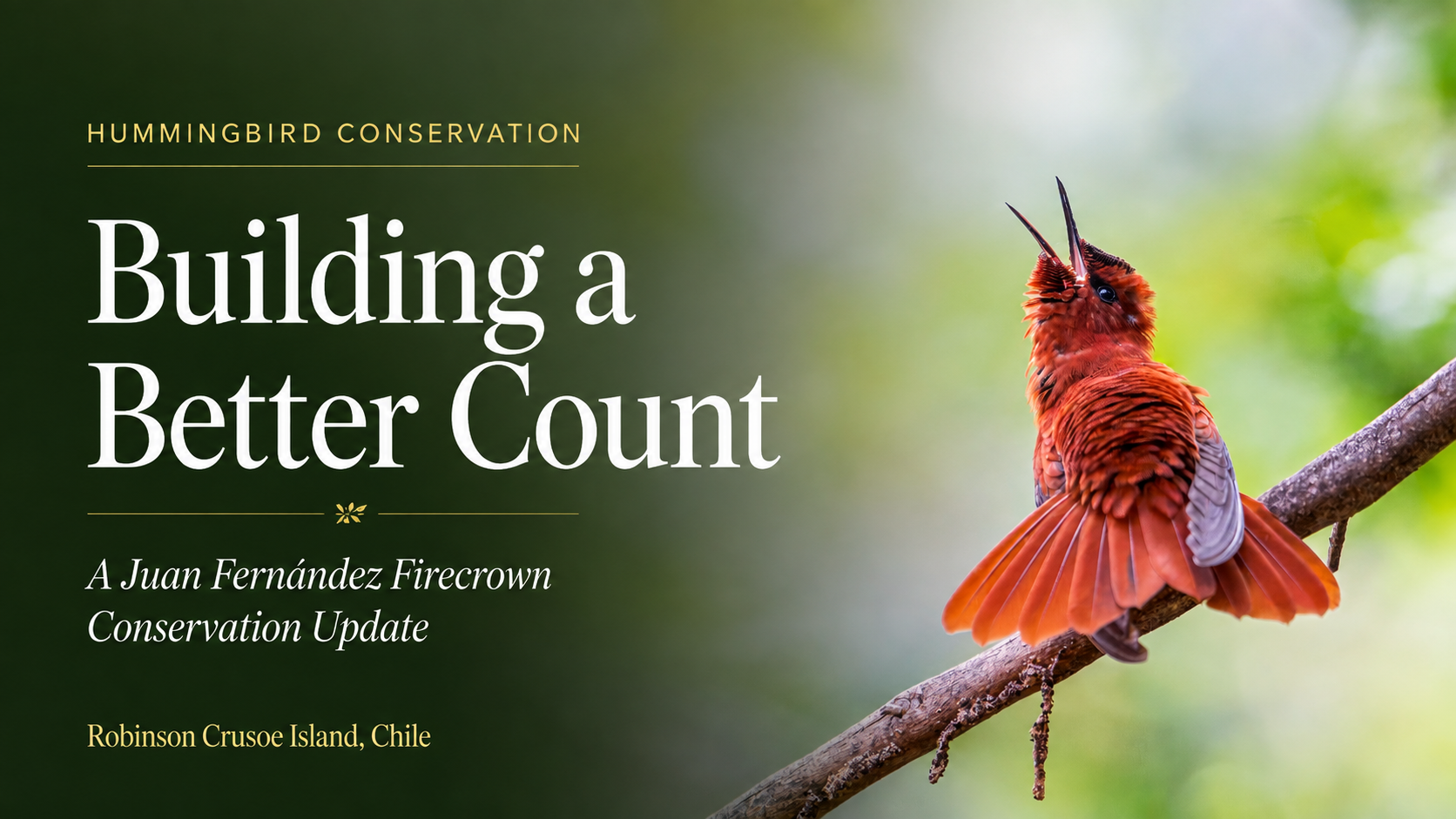 Building a Better Count: A Juan Fernández Firecrown Conservation Update