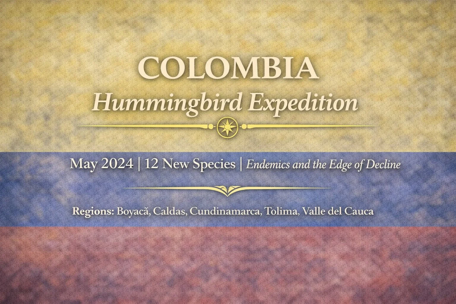 Colombia Hummingbird Expedition | May 2024