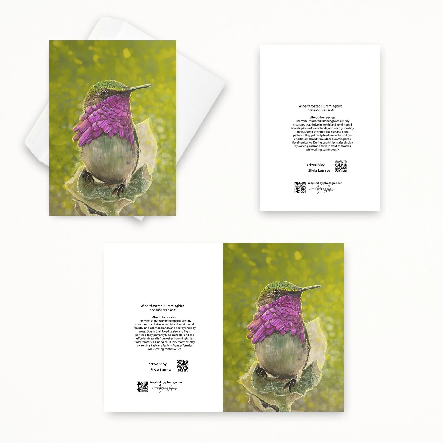 Silvia Larrave - Wine-throated Hummingbird mockup 02.jpg