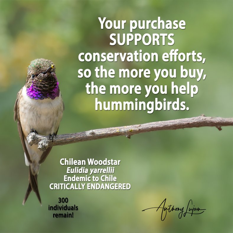 Conservation Support.jpg