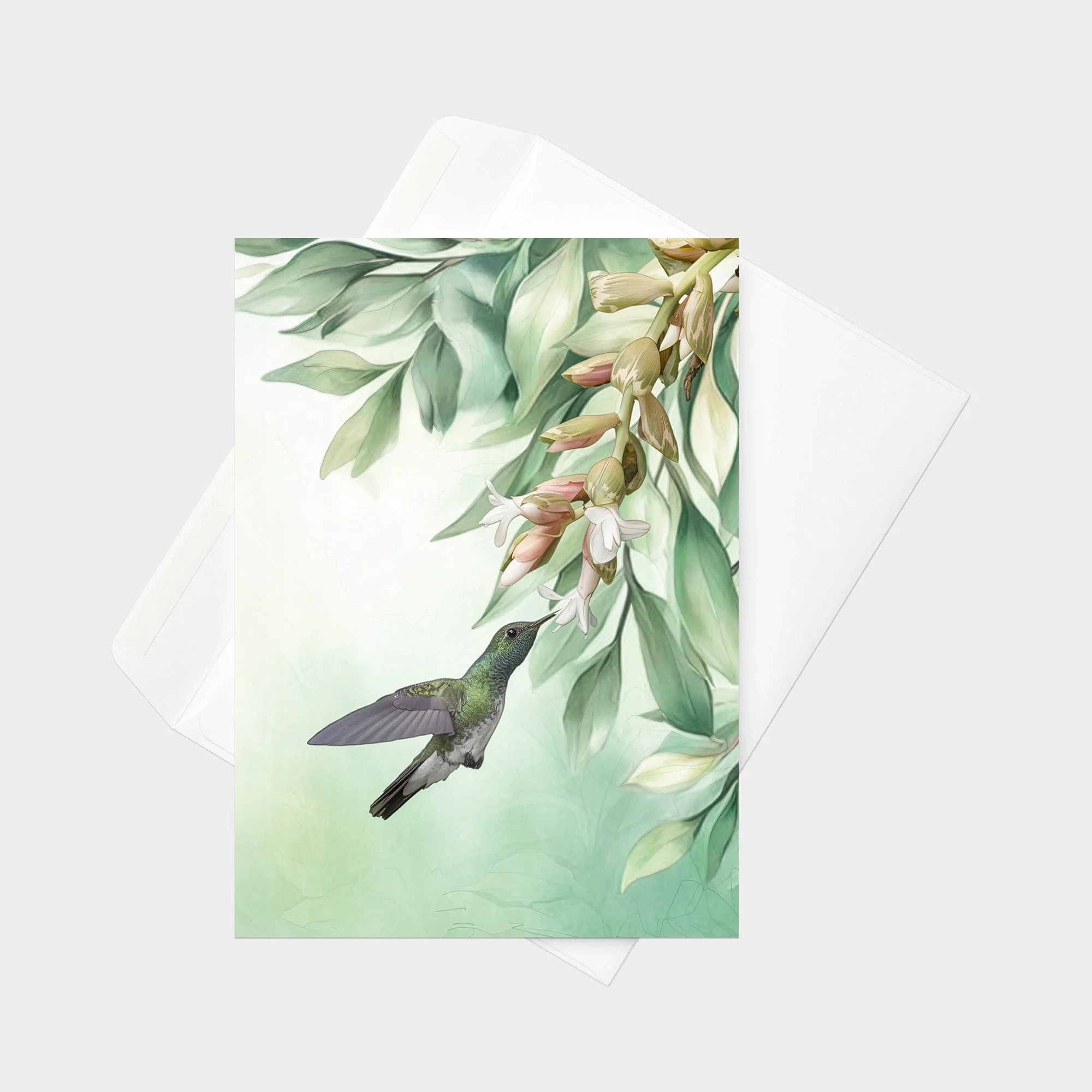 Mangrove Hummingbird 00-1.jpg