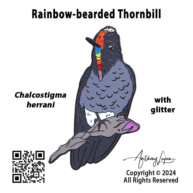 Rainbow-bearded Thornbill GLITTER Pin Backerboard.jpg