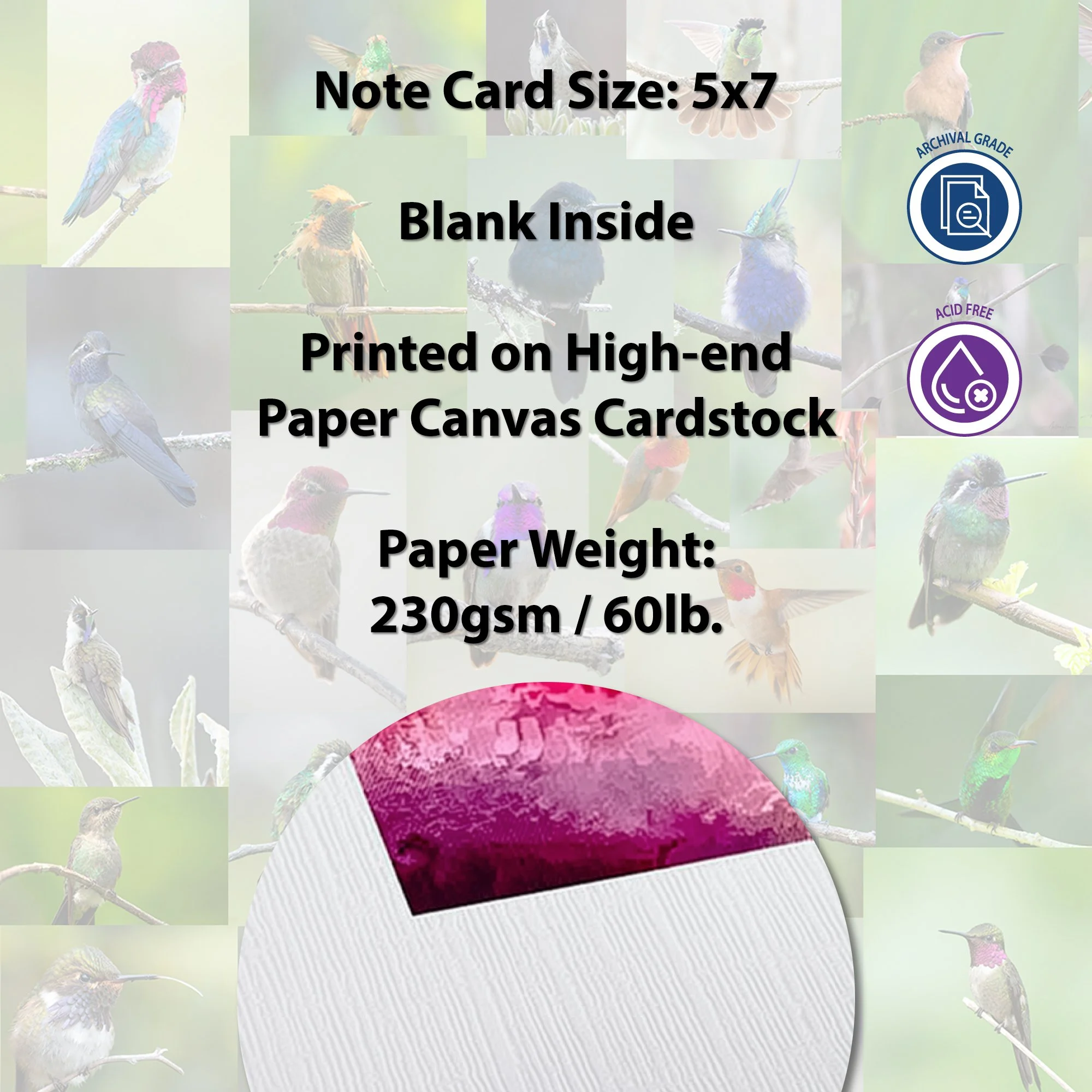 Note Card Description Info.jpg (Copy) (Copy) (Copy) (Copy) (Copy) (Copy) (Copy) (Copy) (Copy)