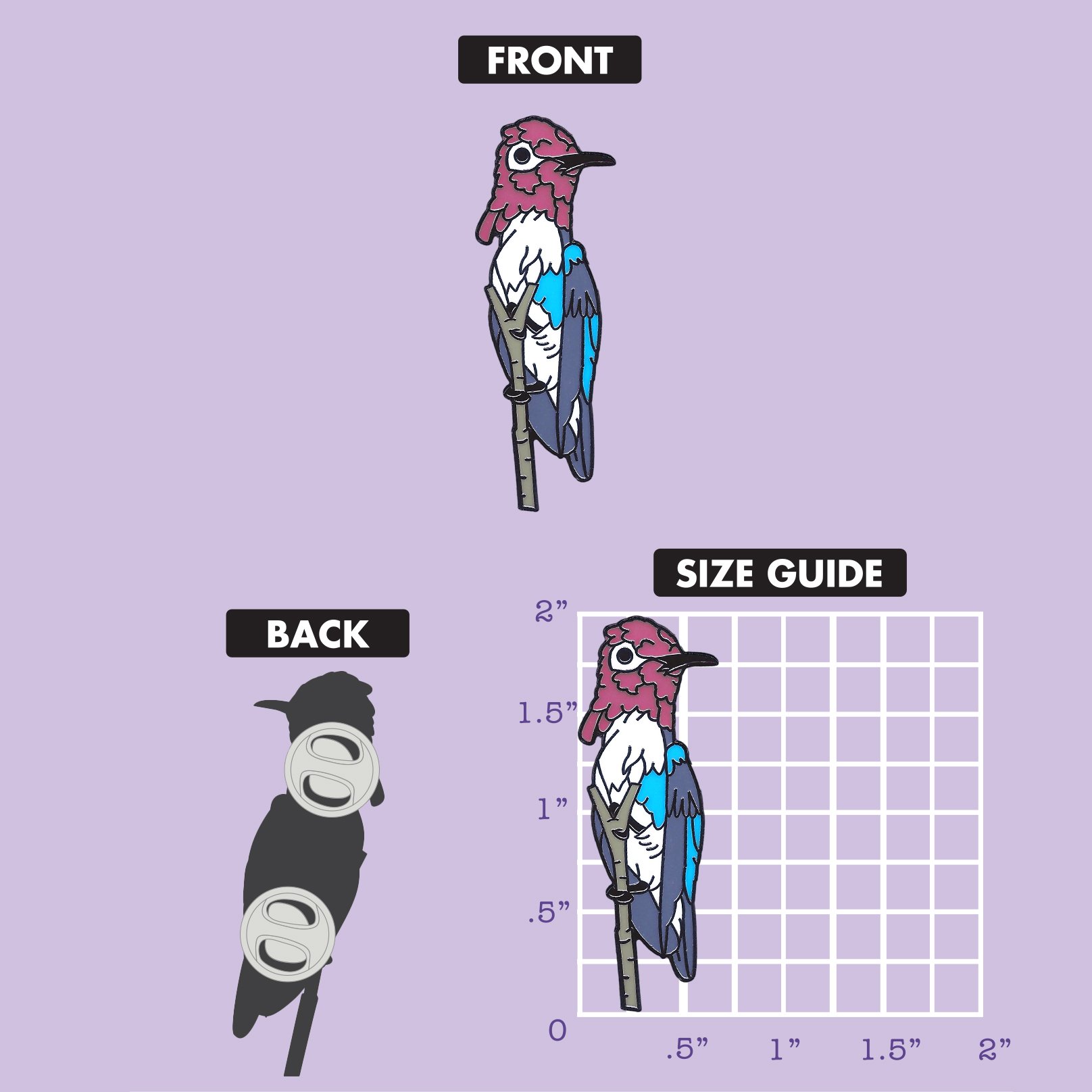 Bee Hummingbird none Size Chart.jpg