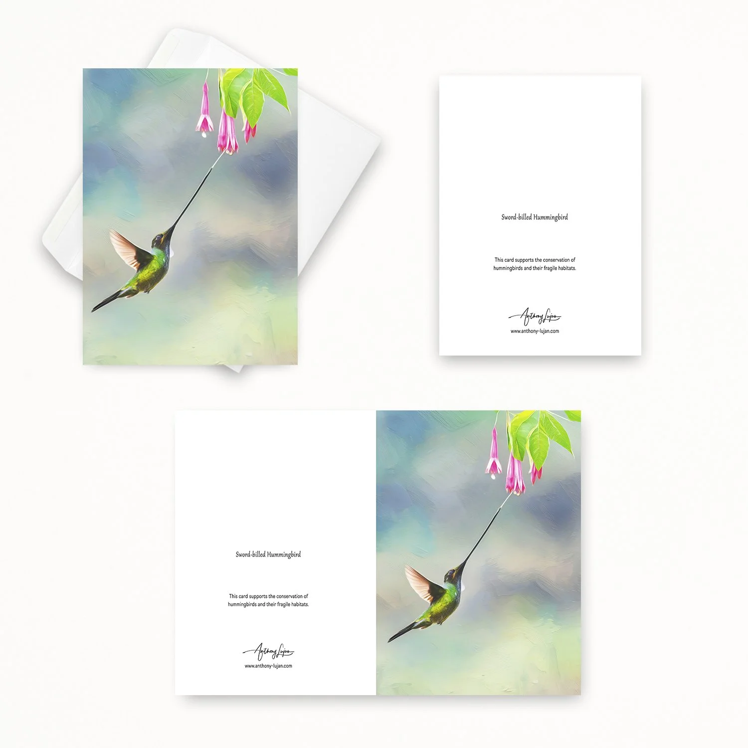 Sword-billed Hummingbird 22.jpg