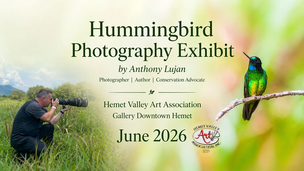 Exhibit at Hemet Valley Art Association Art Gallery