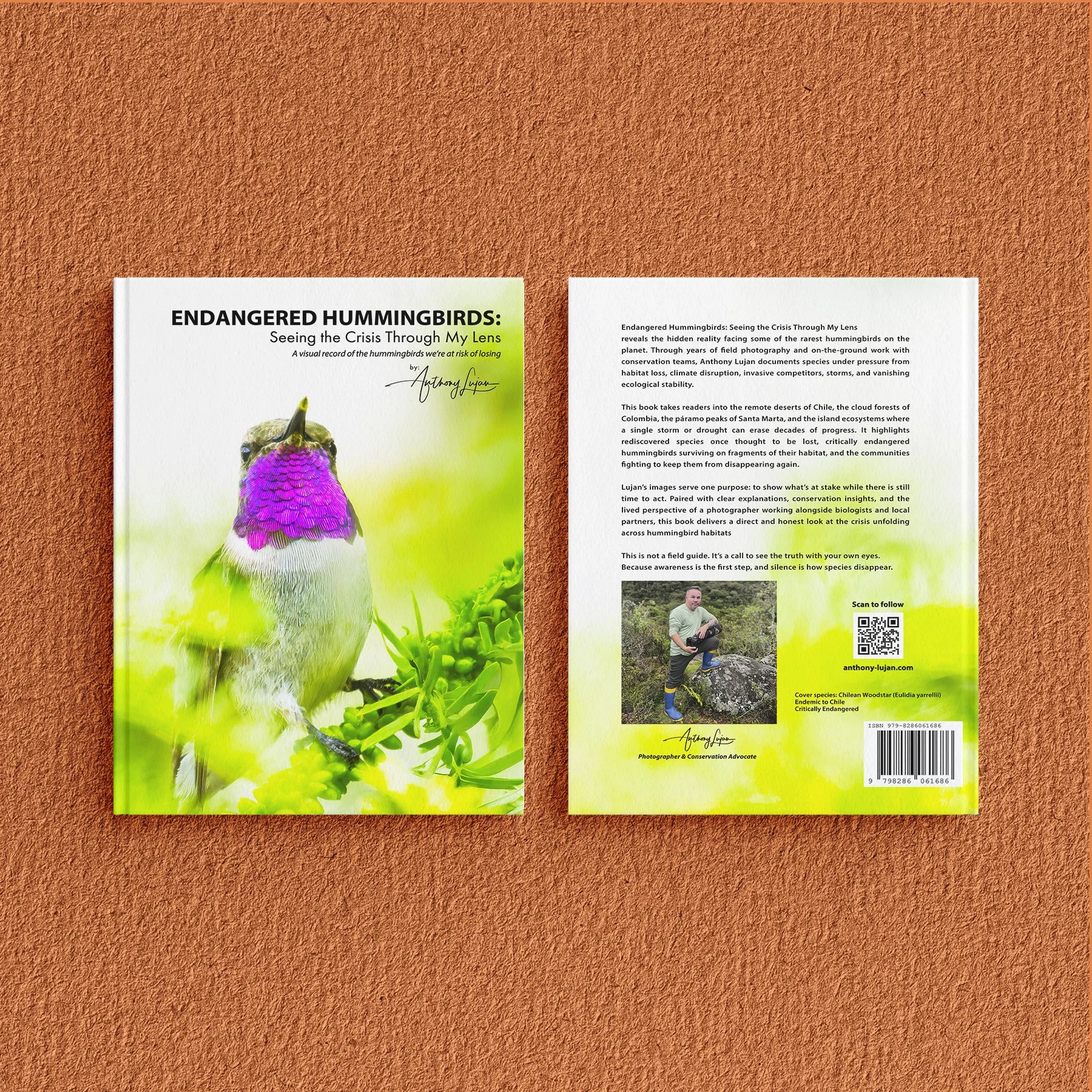 Endangered Hummingbirds-  SQ inside 01.jpg