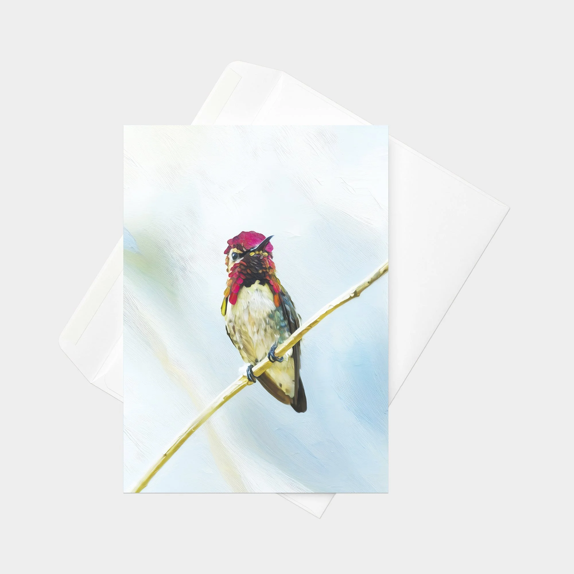 Bee Hummingbird 41.jpg