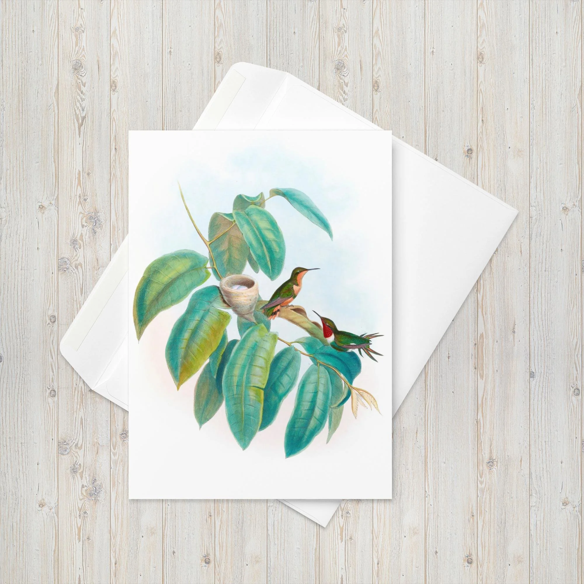 John Gould's Illustrated Rufous-shafted Woodstar Hummingbird | 5x7 Note Card on Linen Paper