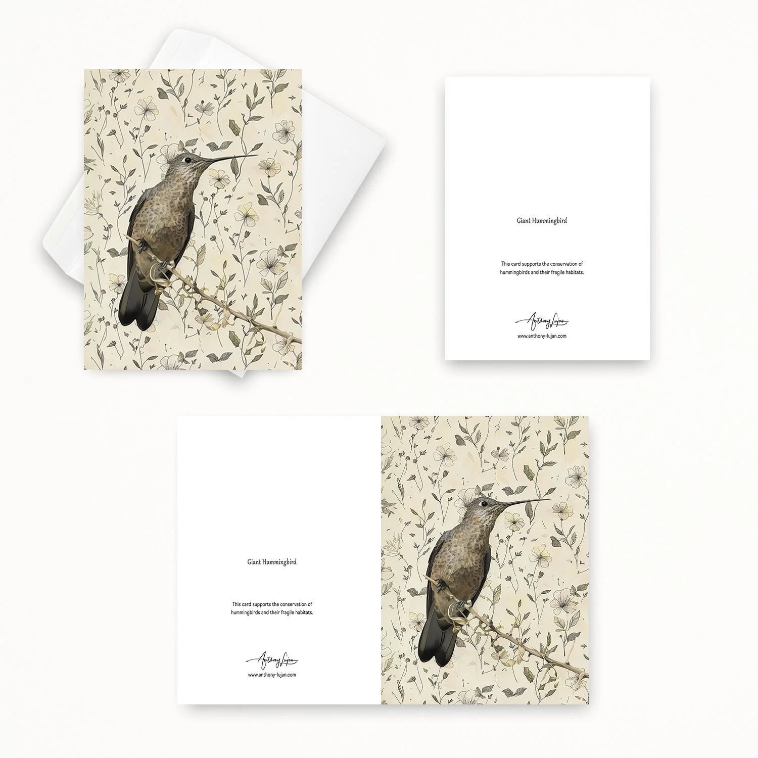 Giant Hummingbird 00-2.jpg