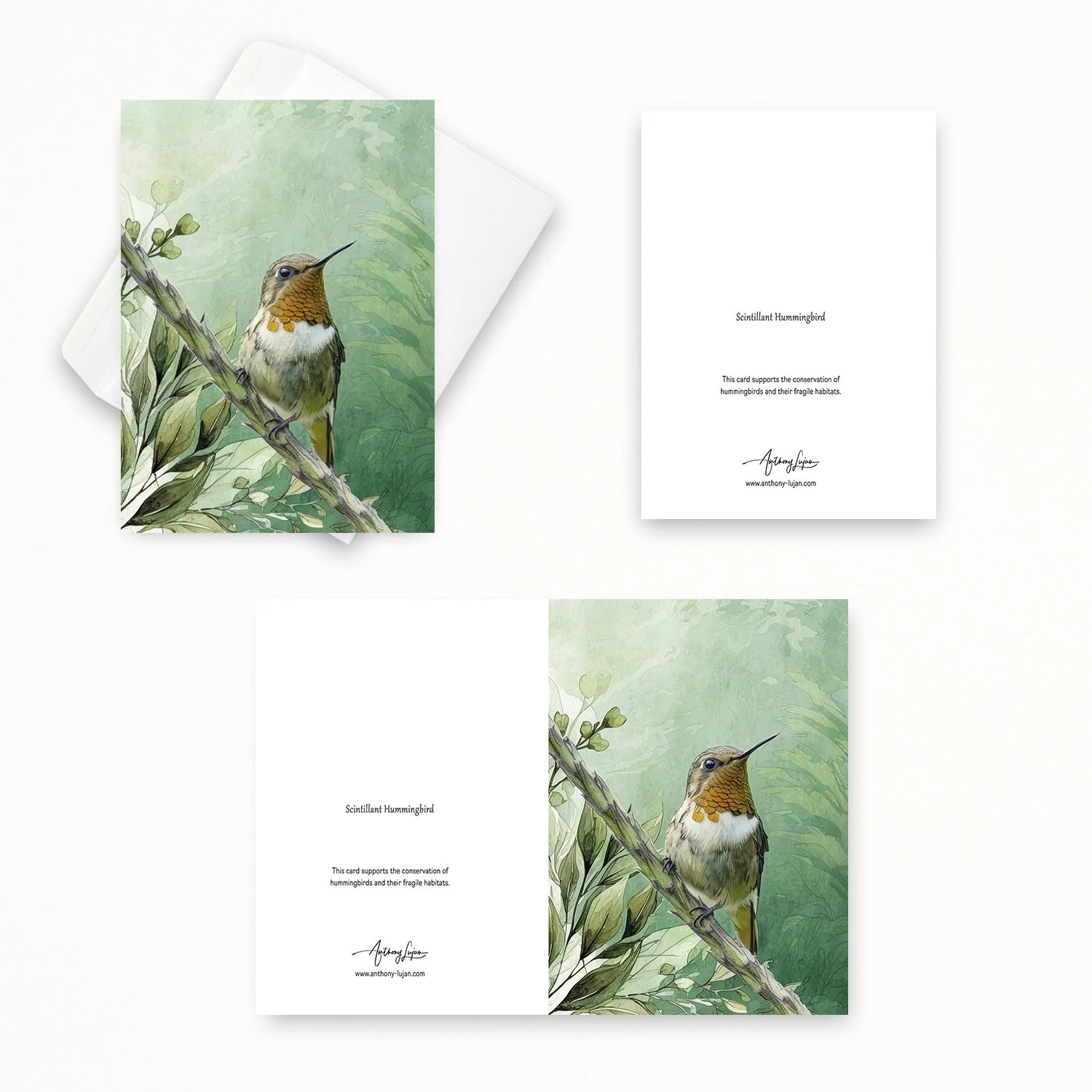 Scintillant Hummingbird 00-2.jpg