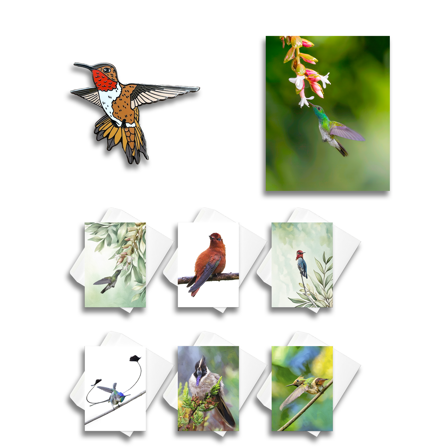 A collage of various hummingbird illustrations and photos, featuring one large digital drawing of a hummingbird, a photograph of a hummingbird near flowers in a leafy background, three smaller illustrated birds with different backgrounds and poses, and three photos of real hummingbirds on branches.