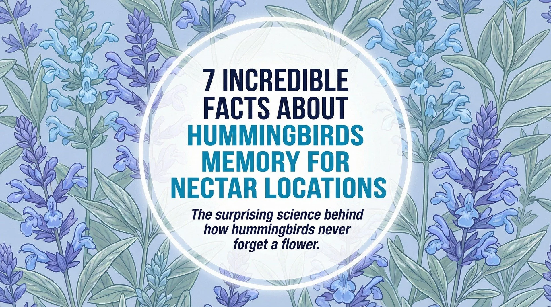 7 Incredible Facts About Hummingbirds' Memory for Nectar Locations
