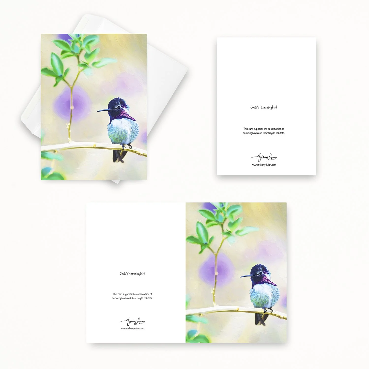 Costa's Hummingbird 22.jpg