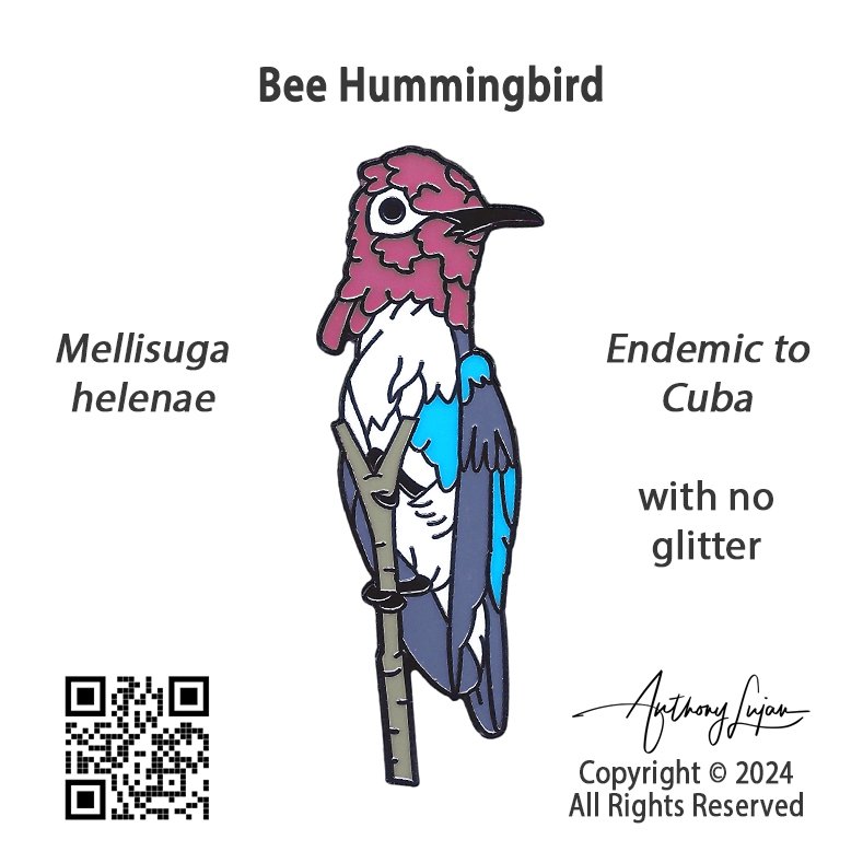 Bee Hummingbird none pin board.jpg