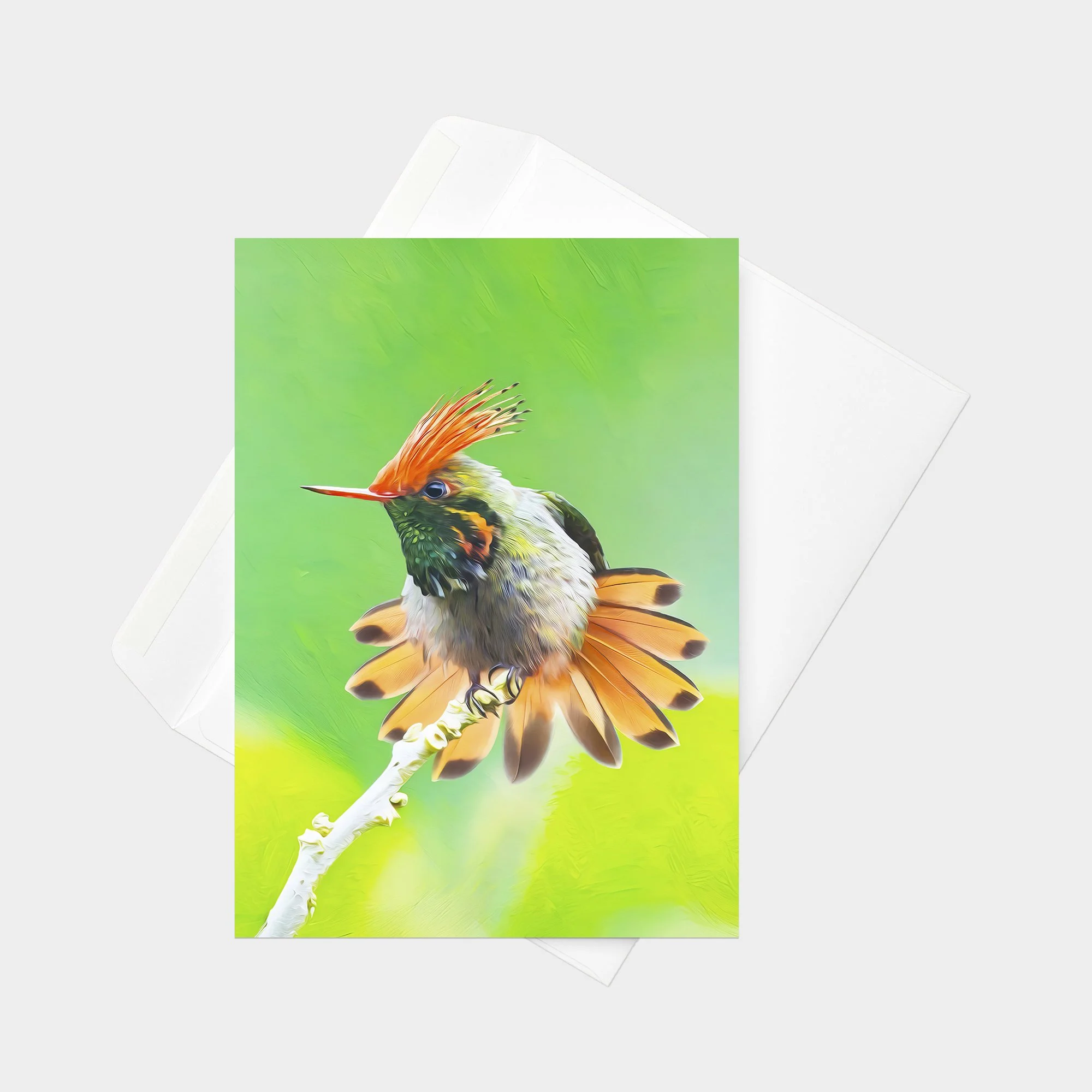 Rufous-crested Coquette 01.jpg