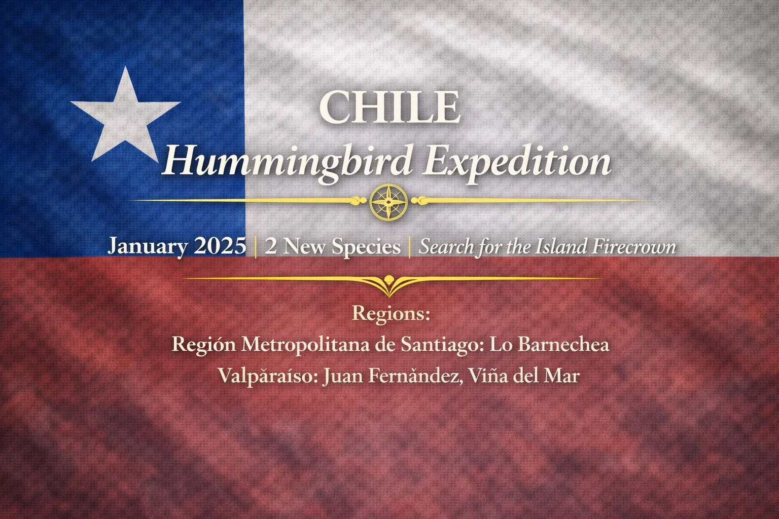Chile Hummingbird Expedition | January 2025