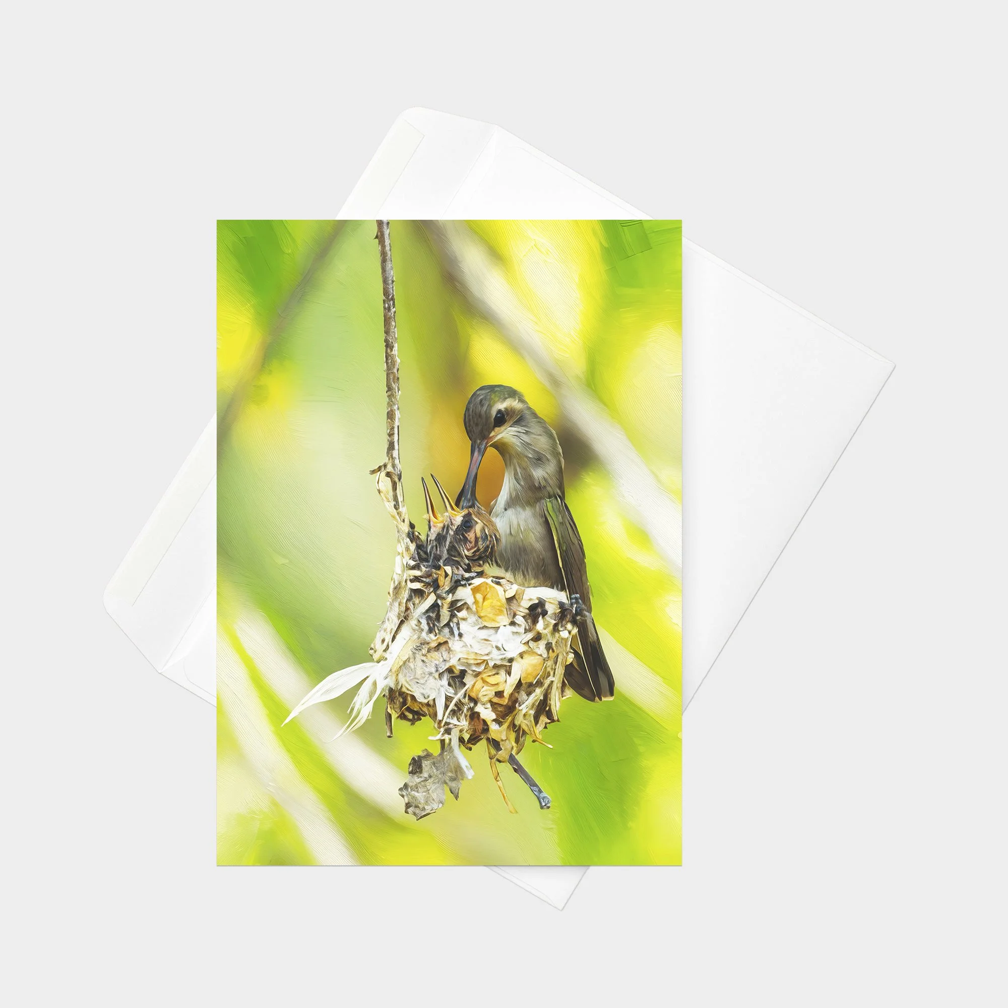 Dusky Hummingbird 01.jpg