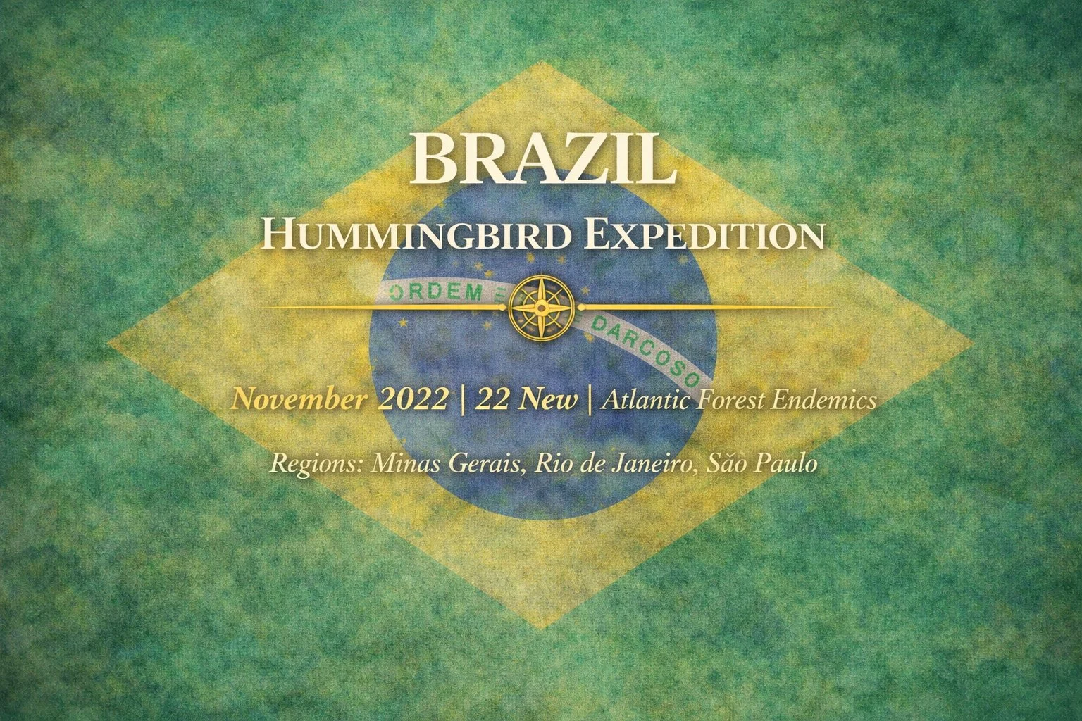 Brazil Hummingbird Expedition | November 2022