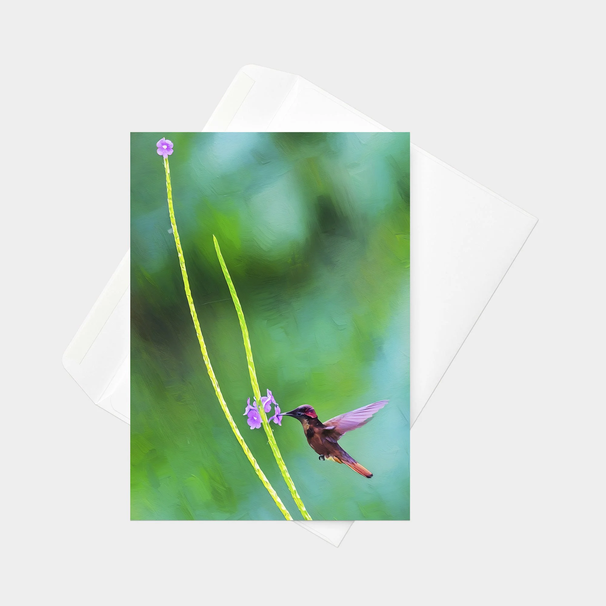 Ruby-topaz Hummingbird 31.jpg