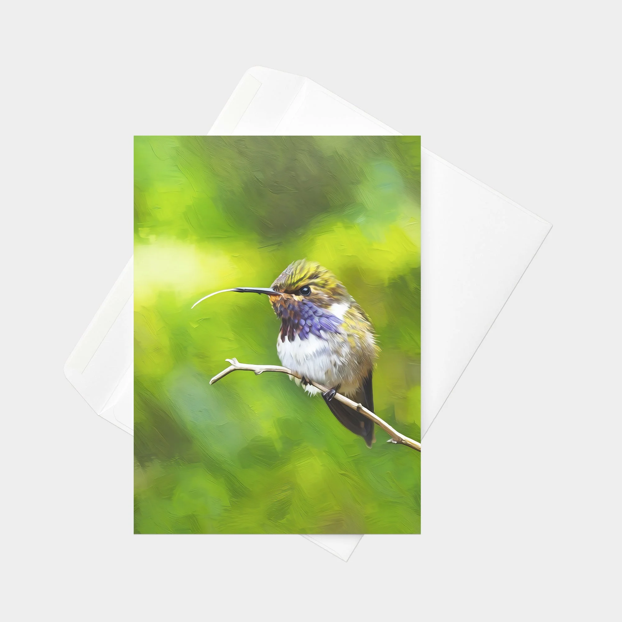 Volcano Hummingbird 31.jpg