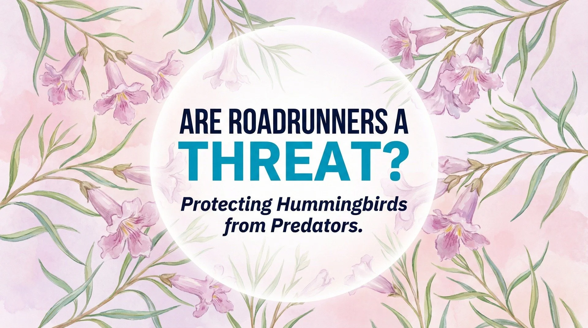 Are Roadrunners a Threat to Hummingbirds?