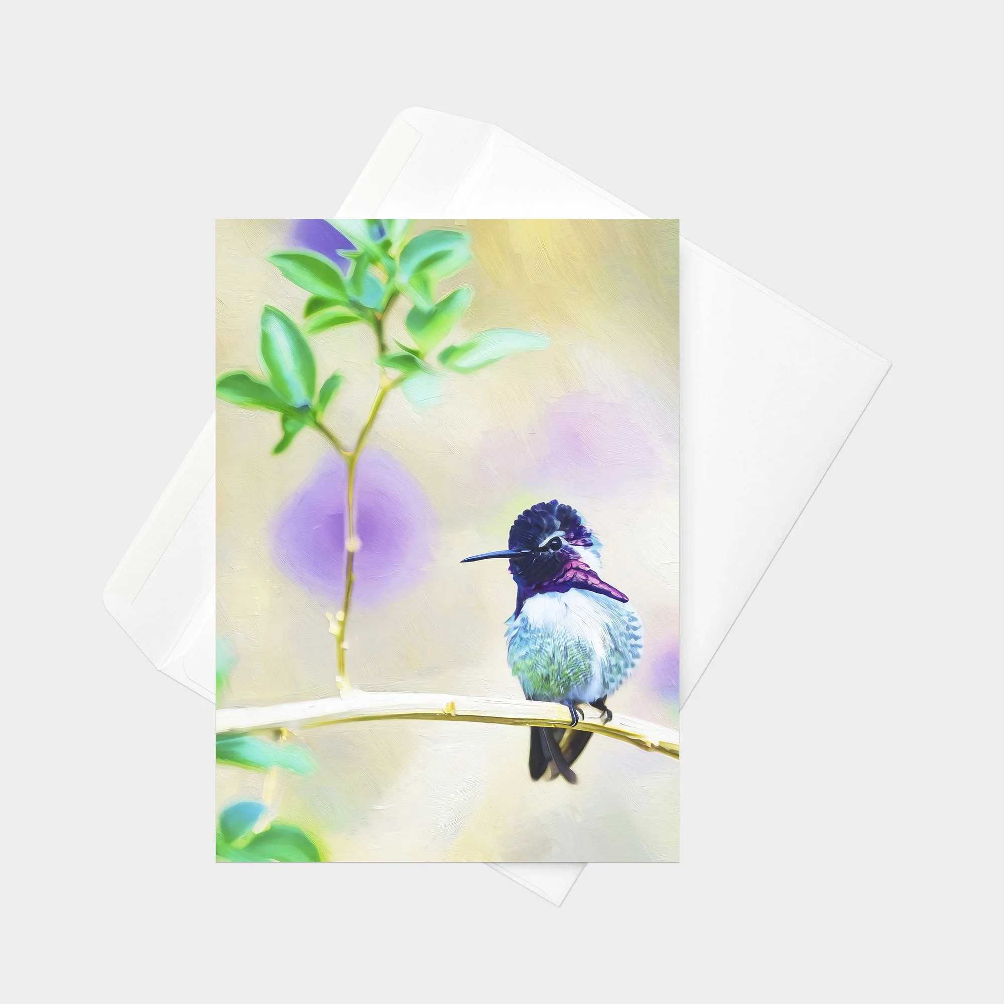 Costa's Hummingbird 21.jpg