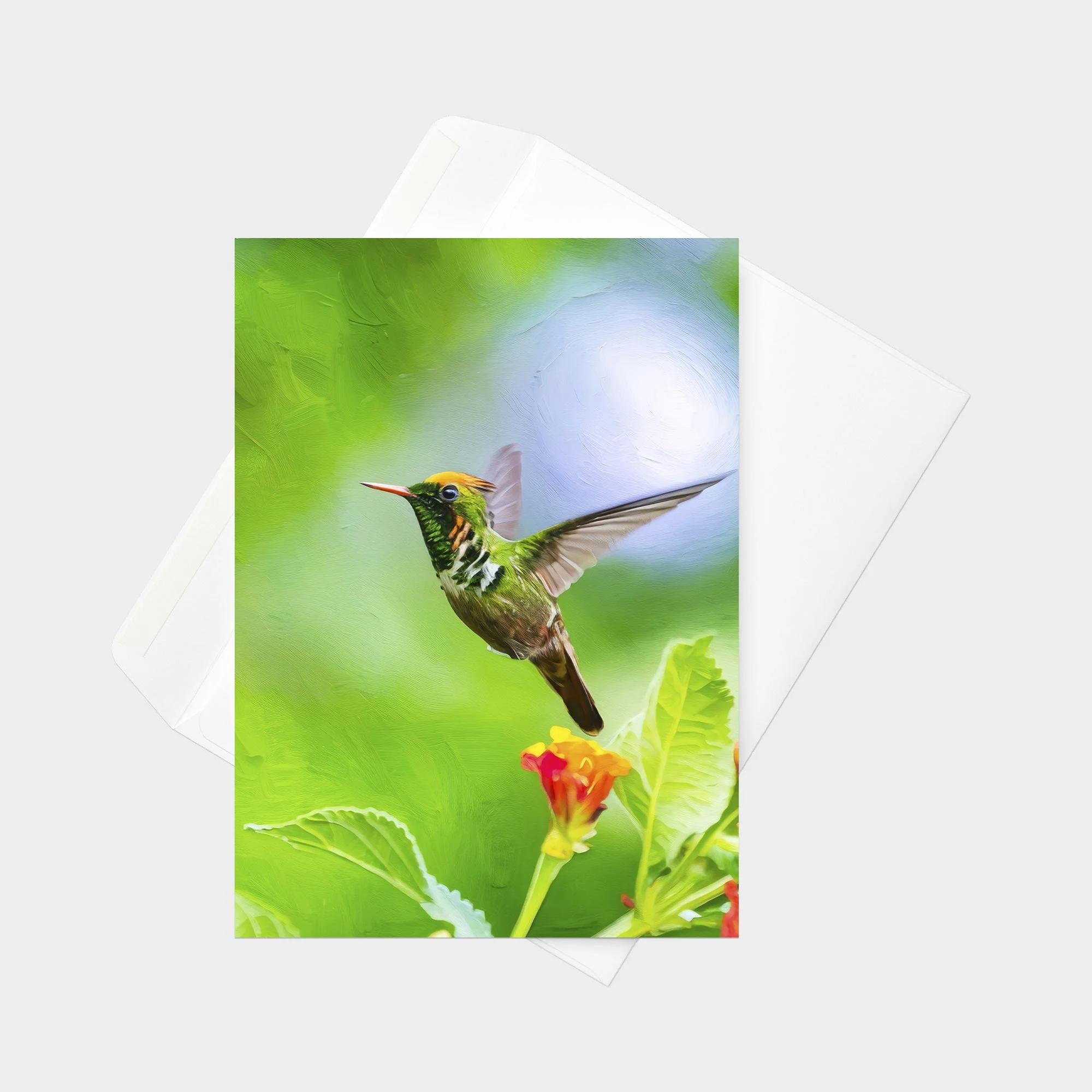 Frilled Coquette 01.jpg